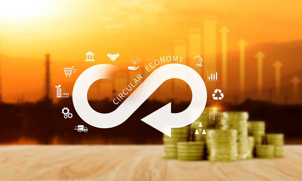 Infinite Banking strategy discussion